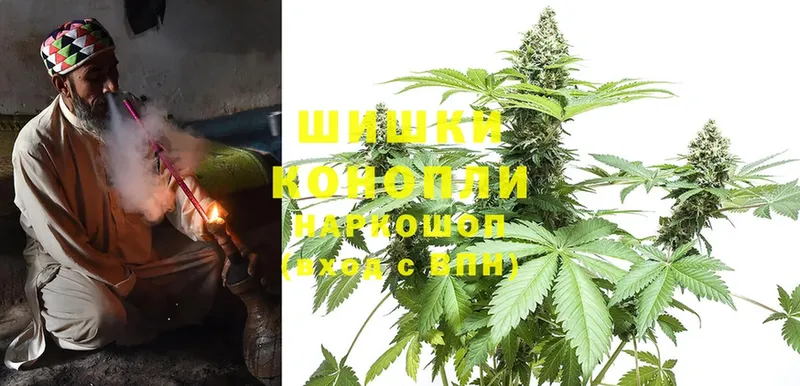 Шишки марихуана White Widow  Тосно 